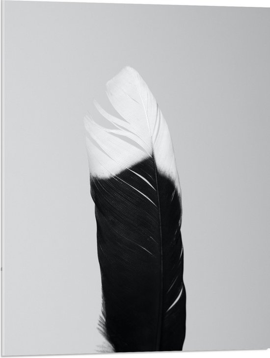 Acrylglas - Zwart met Witte Veer tegen Grijze Achtergrond - 60x80 cm Foto op Acrylglas (Wanddecoratie op Acrylaat)