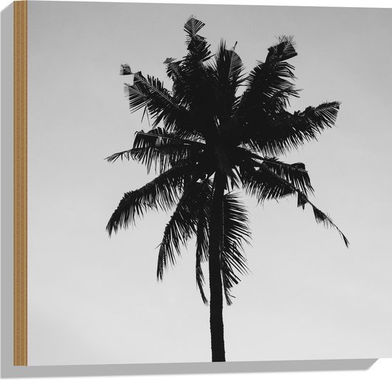Hout - Palmboom in het Zwart Wit - 50x50 cm - 9 mm dik - Foto op Hout (Met Ophangsysteem)