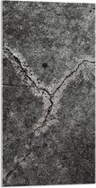 Acrylglas - Scheuren in Stenen Ondergrond - 50x100 cm Foto op Acrylglas (Met Ophangsysteem)