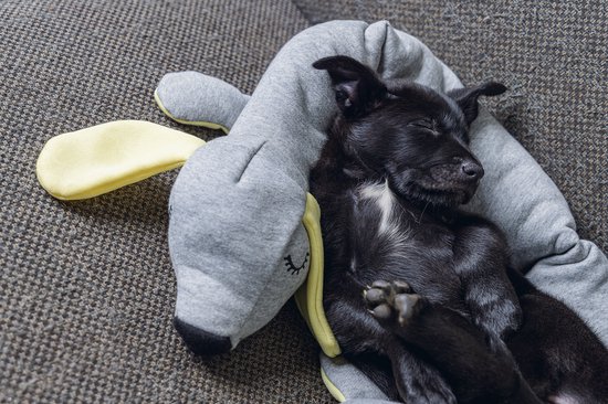 Zwarte puppy slaapt op een grijze knuffelhond met gele oren.