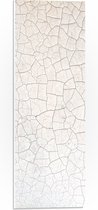 PVC Schuimplaat- Stenen Textuur in Wand - 20x60 cm Foto op PVC Schuimplaat