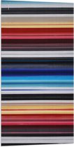 Vlag - Strepen in het Rood, Geel, Blauw en Grijs - 50x100 cm Foto op Polyester Vlag