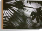 Hout - Schaduw van Grote Bladeren op Stenen - 40x30 cm - 9 mm dik - Foto op Hout (Met Ophangsysteem)
