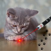 Katten Laser - Dierenwinkel Nederland