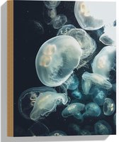 WallClassics - Hout - Zee van Kwallen in de Zee - 30x40 cm - 9 mm dik - Foto op Hout (Met Ophangsysteem)