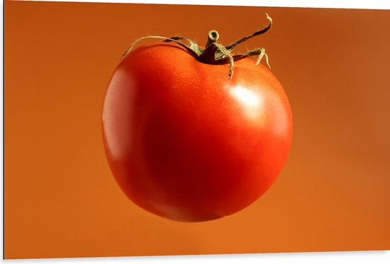 Dibond - Rode Tomaat tegen Oranje Achtergrond - 105x70 cm Foto op Aluminium (Wanddecoratie van metaal)