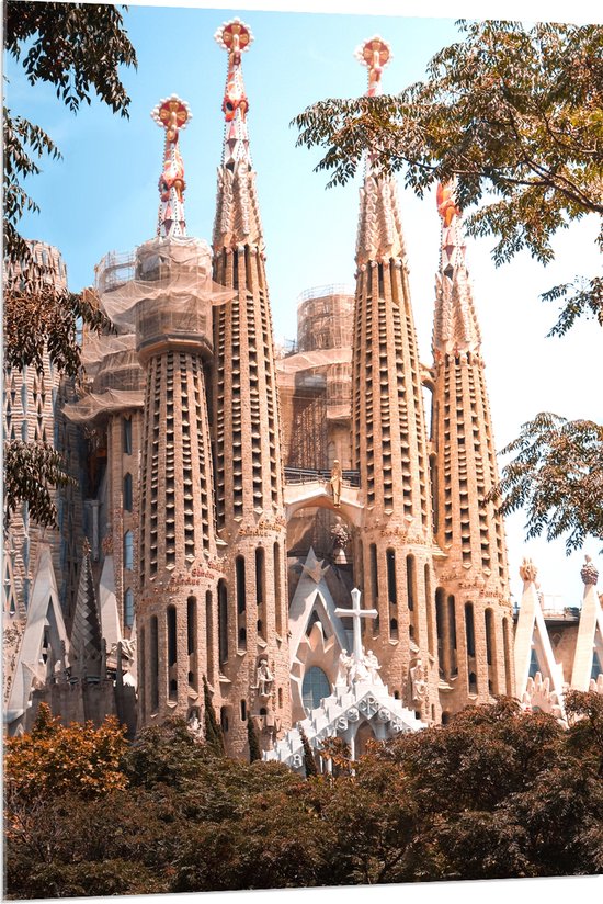 Acrylglas - Sagrada Familia Basiliek - Spanje - 80x120 cm Foto op Acrylglas (Wanddecoratie op Acrylaat)