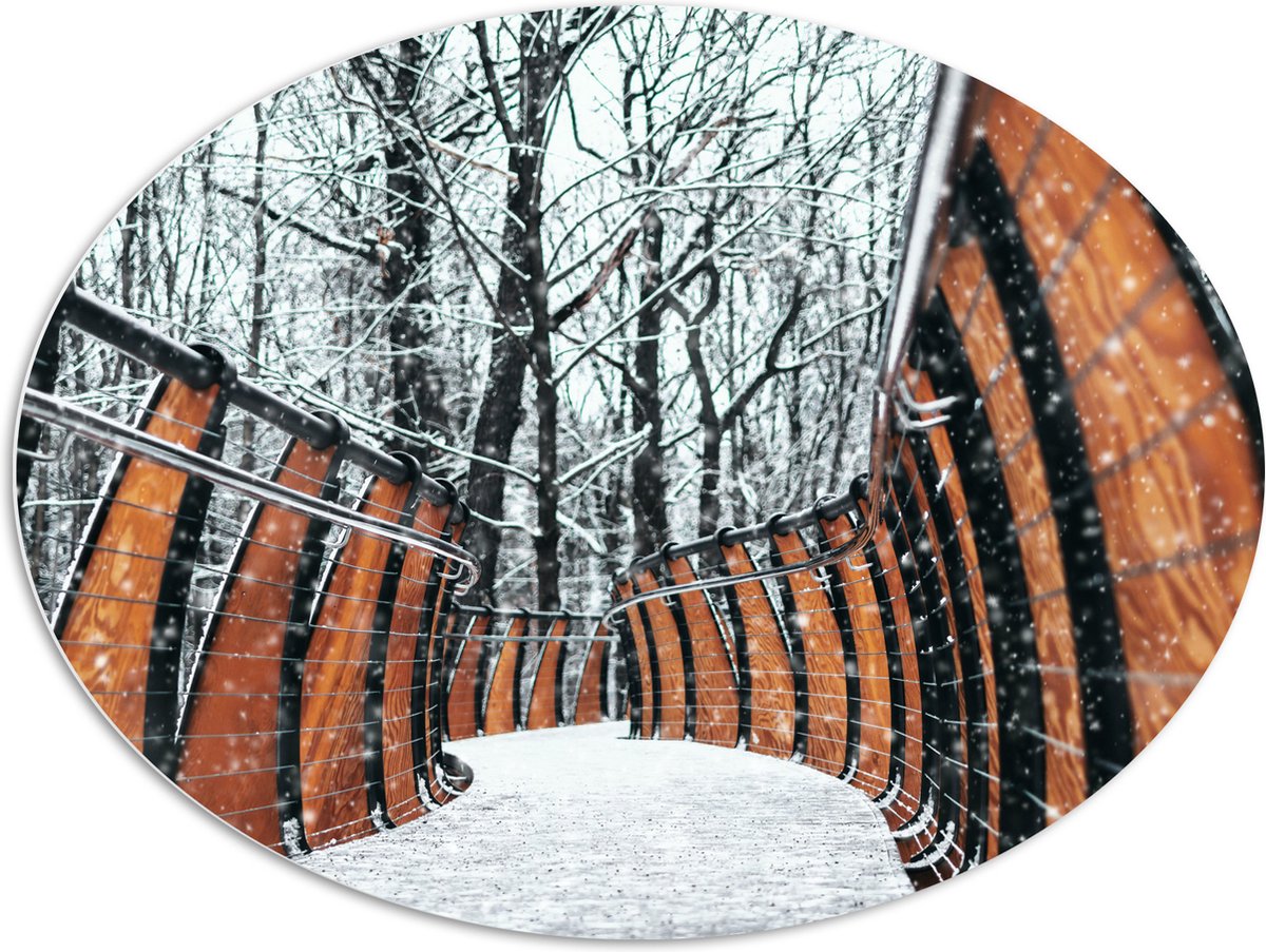 PVC Schuimplaat Ovaal - Hekwerk in Ondergesneeuwd Bos - 108x81 cm Foto op Ovaal (Met Ophan