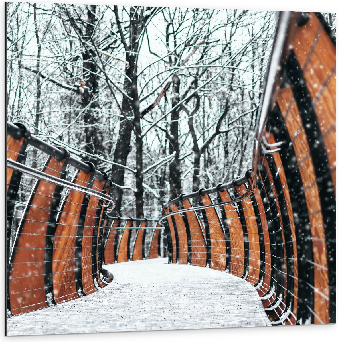 Dibond - Hekwerk in Ondergesneeuwd Bos - 100x100 cm Foto op Aluminium (Wanddecoratie van m