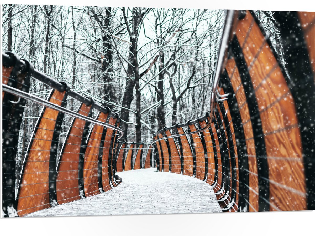 PVC Schuimplaat- Hekwerk in Ondergesneeuwd Bos - 105x70 cm Foto op PVC Schuimplaat