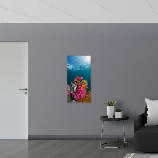 WallClassics - Poster brillant – Rayons de soleil sur corail au fond marin – Photo 50 x 100 cm sur papier poster brillant