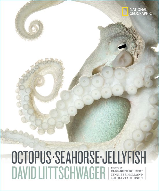 Octopus, Seahorse, Jellyfish - cover