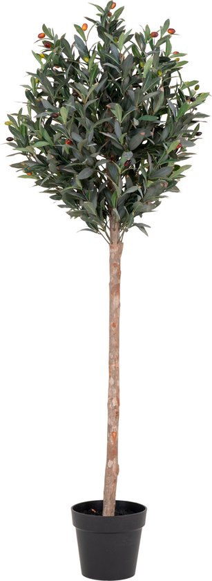Olijfboom - Kunstboom 150 cm