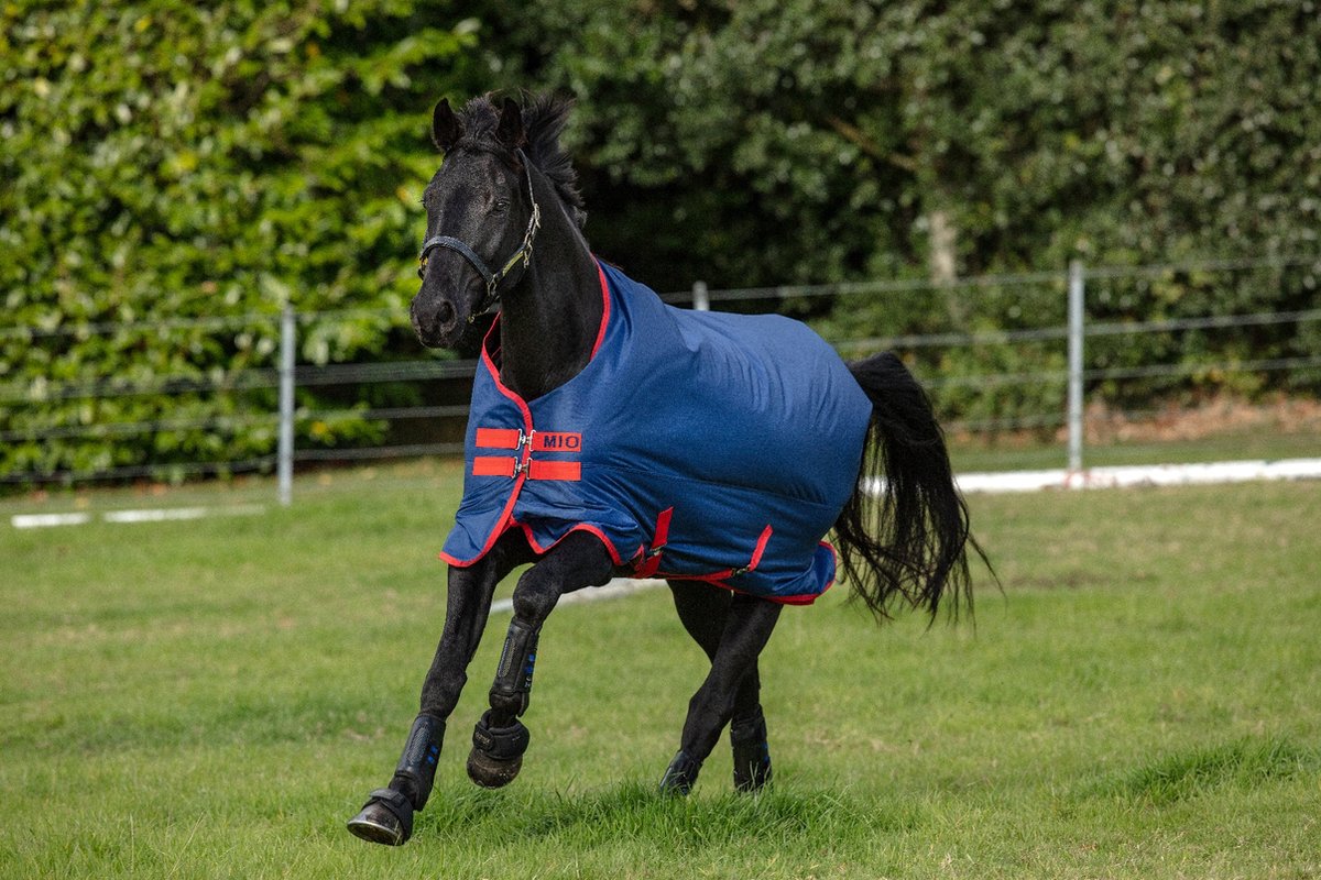 Mio Turnout Medium 200g-90-137 pony-Blue