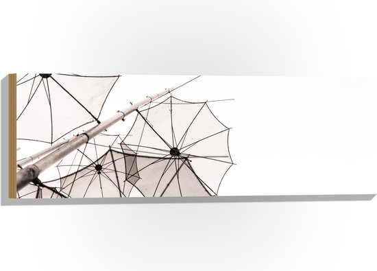 Hout - Doorzichtige Paraplu Vormen tegen Witte Achtergrond - 90x30 cm - 9 mm dik - Foto op Hout (Met Ophangsysteem)