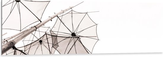 Dibond - Doorzichtige Paraplu Vormen tegen Witte Achtergrond - 150x50 cm Foto op Aluminium (Wanddecoratie van metaal)