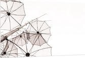 PVC Schuimplaat- Doorzichtige Paraplu Vormen tegen Witte Achtergrond - 150x100 cm Foto op PVC Schuimplaat