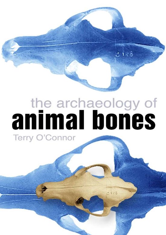 Archaeology Of Animal Bones
