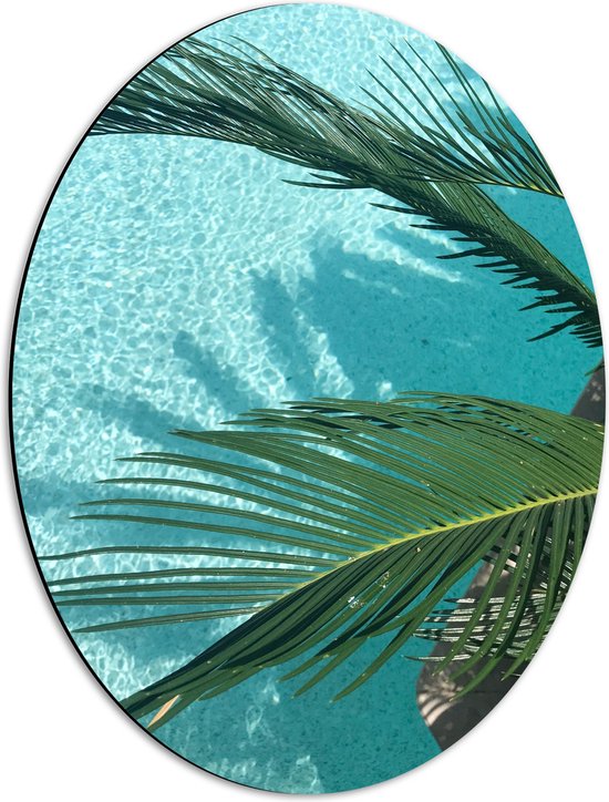 WallClassics - Dibond Ovaal - Palmbladeren Hangend boven Zwembad - 42x56 cm Foto op Ovaal (Met Ophangsysteem)