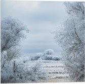 WallClassics - Drapeau - Prairie enneigée - 50x50 cm Photo sur Drapeau Polyester
