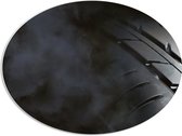 PVC Schuimplaat Ovaal - Rook bij Zwarte Banden - 80x60 cm Foto op Ovaal (Met Ophangsysteem)