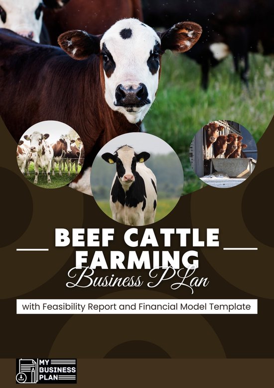 business plan on beef production