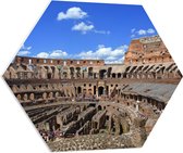 PVC Schuimplaat Hexagon - Binnenkant van het Colesseum in Rome, Italië - 80x69.6 cm Foto op Hexagon (Met Ophangsysteem)