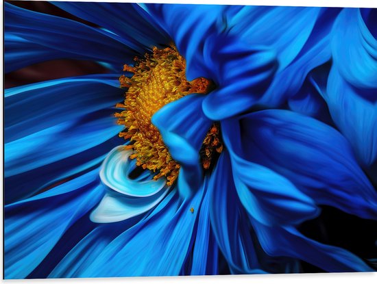 WallClassics - Dibond - Close-up van Felblauwe Bloem met Gele Binnenkant - 80x60 cm Foto op Aluminium (Met Ophangsysteem)