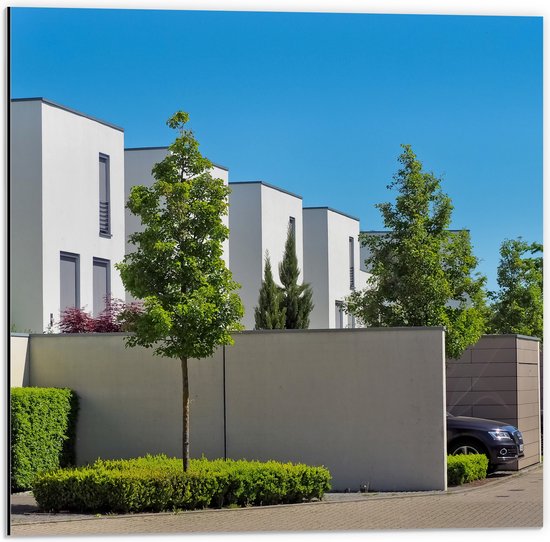 Dibond - Rijtje Mooie Dure Huizen met Mooie Auto's op de Oprit en Bomen - 50x50 cm Foto op Aluminium (Met Ophangsysteem)