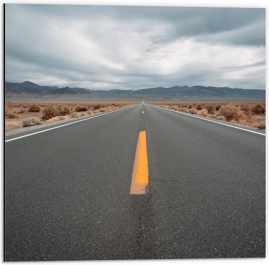 WallClassics - Dibond - Rechte Autoweg met Landschap - 50x50 cm Foto op Aluminium (Wanddecoratie van metaal)