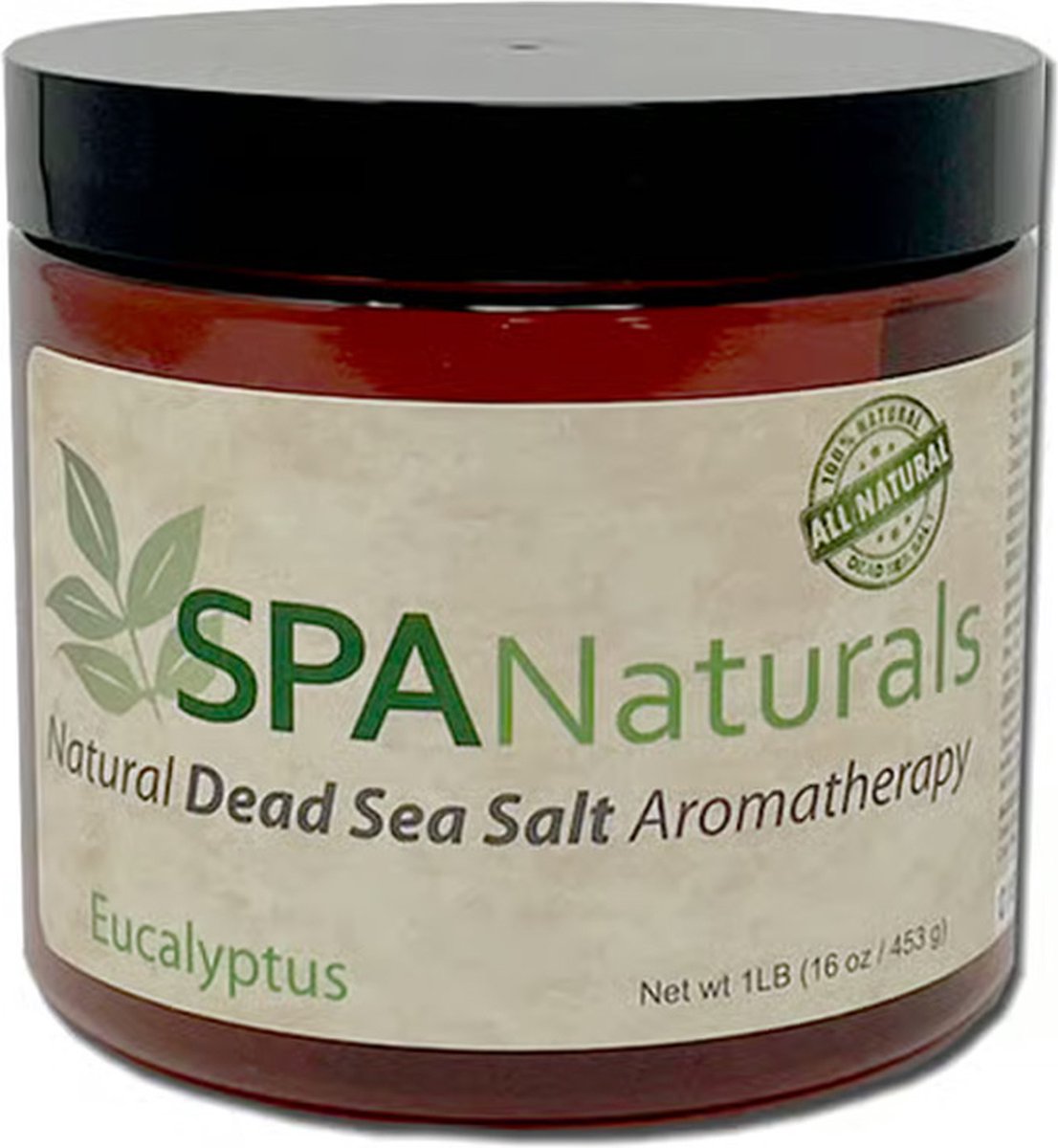 inSPAration Spa Naturals Dead Sea Salt badzout Eucalyptus