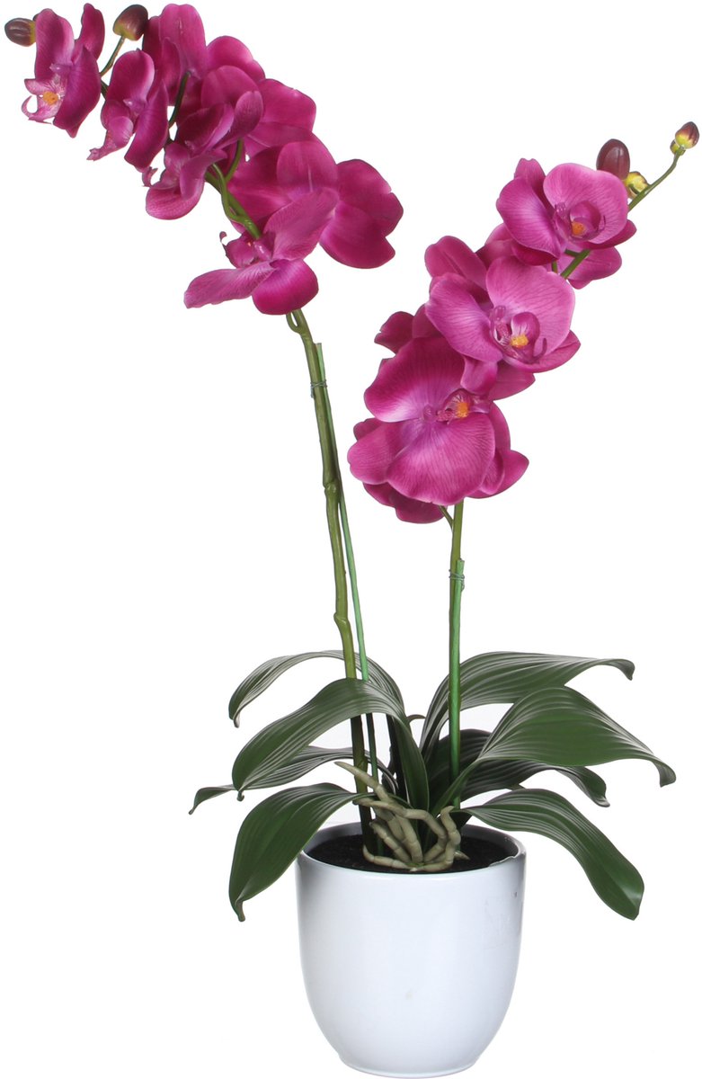 Mica Decorations Orchidee bloem kunstplant - roze - H66 x B38 cm Paars en bloempot wit