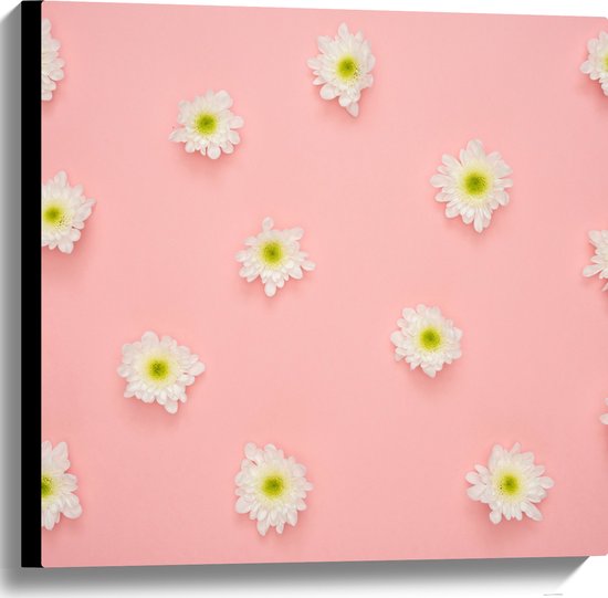Canvas - Madeliefjes op een Roze Achtergrond - 60x60 cm Foto op Canvas Schilderij (Wanddecoratie op Canvas)