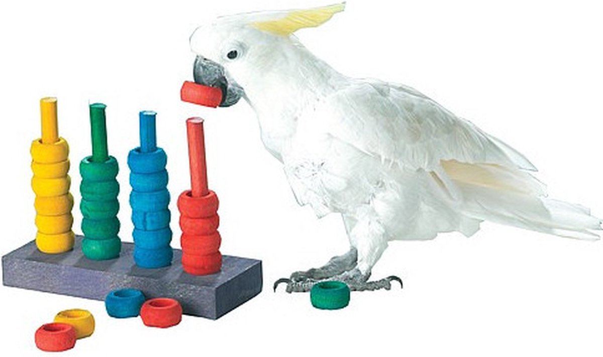 Zoo-Max Papegaaienspeelgoed The Teacher Wooden Ring Game-Vogelspeelgoed |  bol.com