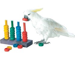 Zoo-Max Papegaaienspeelgoed The Teacher Wooden Ring Game- Vogelspeelgoed - papegaai speelgoed
