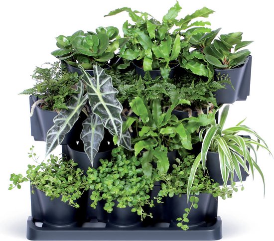 Een gevulde verticale tuin met verschillende groene planten, waaronder varens, spinnenplanten en Alocasia.