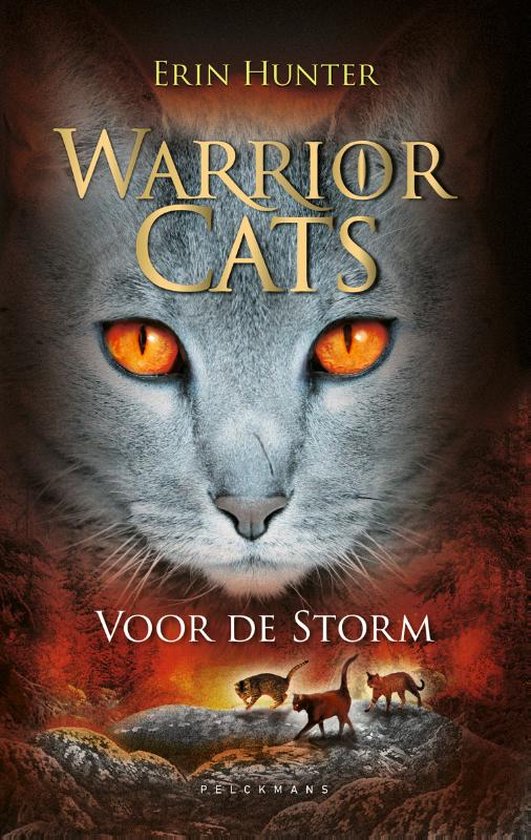 Cover van het boek 'Warrior Cats / 4 Voor de storm' van Erin Hunter