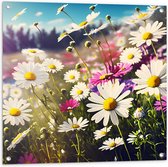 Tuinposter – Bloemenveld Vol Paarse en Witte Madeliefjes - 80x80 cm Foto op Tuinposter (wanddecoratie voor buiten en binnen)