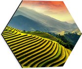 Dibond Hexagon - Bergen in Indonesië Vol Rijstvelden - 30x26.1 cm Foto op Hexagon (Met Ophangsysteem)