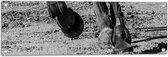 Tuinposter – Hoeven van Rennend Paard (Zwart- wit) - 90x30 cm Foto op Tuinposter (wanddecoratie voor buiten en binnen)