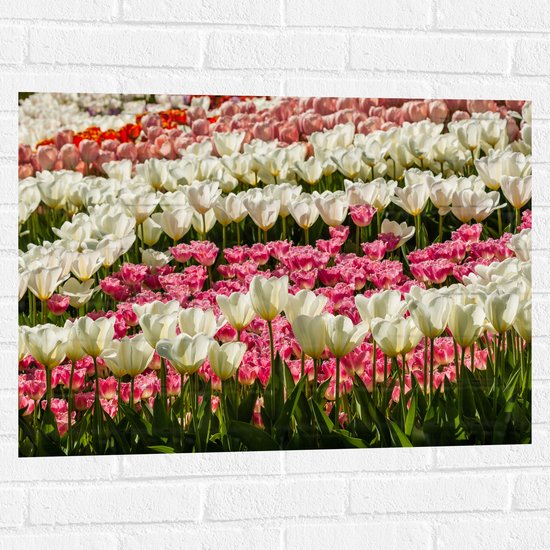 Muursticker - Bloeiend Bloemenveld van Verschillende Kleuren Bloemen in de Lente - 80x60 cm Foto op Muursticker