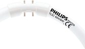 Philips Master TL5 Circular 40W/840 2GX13 (Koel Wit) 3300lm