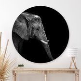 Wandcirkel Olifantenportret
