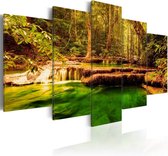Schilderij - Schoonheid van de Natuur , Waterval , 5 luik , 2 maten , Multikleur , Wanddecoratie