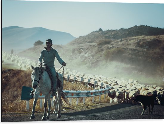 Dibond - Boer op Paard voor Kudde Schappen op Bergweg - 80x60 cm Foto op Aluminium (Met Ophangsysteem)