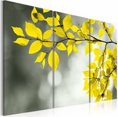 Schilderij - Gouden lente , geel , boom , 3 luik