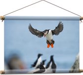 Textielposter - Aanvallende Papegaaiduiker Vogel op Pingïuns - 60x40 cm Foto op Textiel