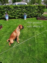 Abany quality design - vakantielijn - geel zwart - hondenlijn - Hondenpin 2x - grondpin hond - aanlegspiraal Hond - aanleglijn - grondanker Hond - vastlegspiraal - grondpen - met aanleg kabel - bodempin - hondenanker - aanlegspiraal - 15R21011