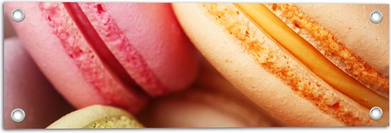 Tuinposter – Close-up van Verschillende Smaken Macarons Koekjes - 60x20 cm Foto op Tuinposter (wanddecoratie voor buiten en binnen)