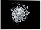 Acrylglas - Wit Slakvormig Object tegen Zwarte Achtergrond - 40x30 cm Foto op Acrylglas (Met Ophangsysteem)